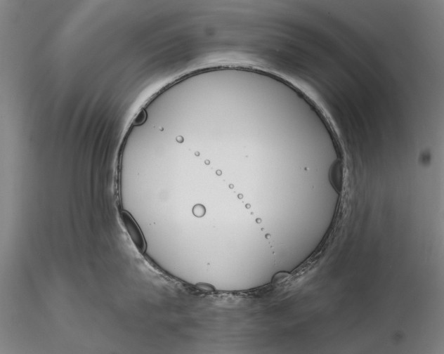 X0000116150815200912141156