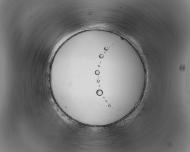 X0000116150816200912141156