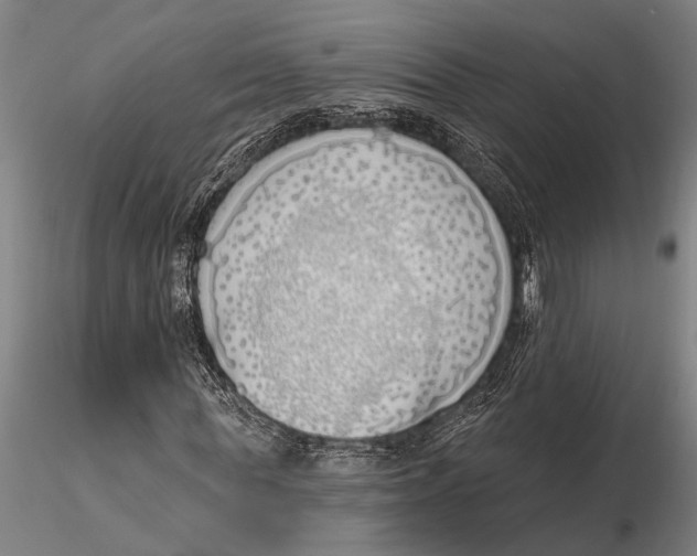 X0000116150819200912141155