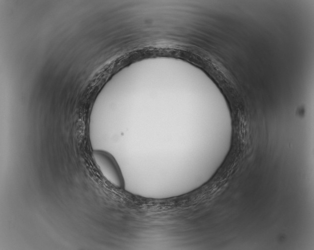 X0000116150821200912141155