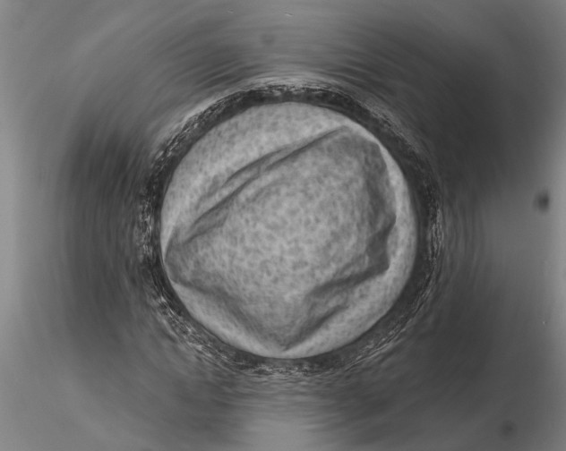 X0000116150822200912141155