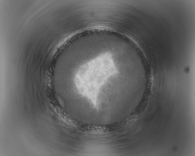 X0000116150823200912141155