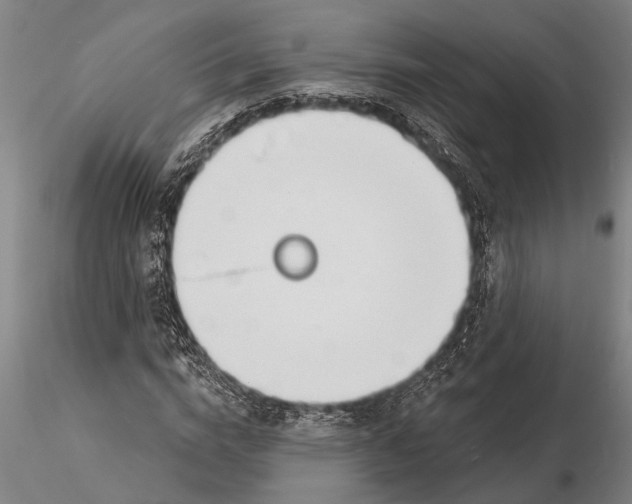 X0000116150824200912141155