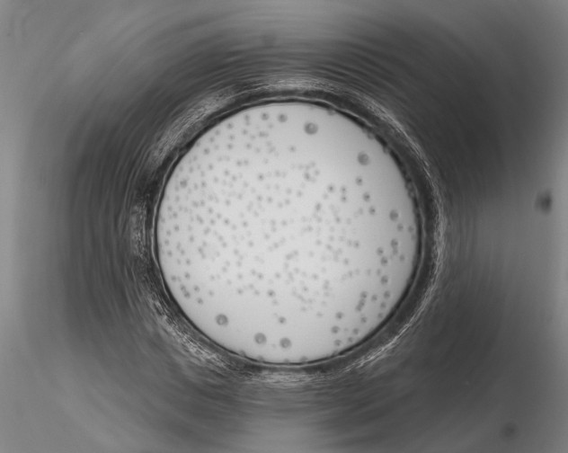 X0000116150825200912141155