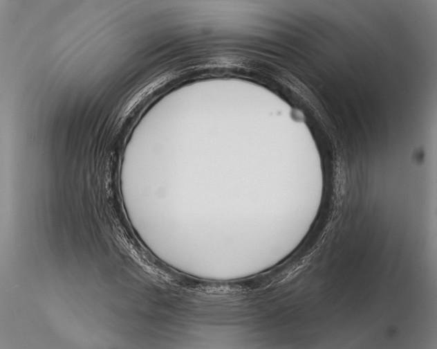 X0000116150826200912141155