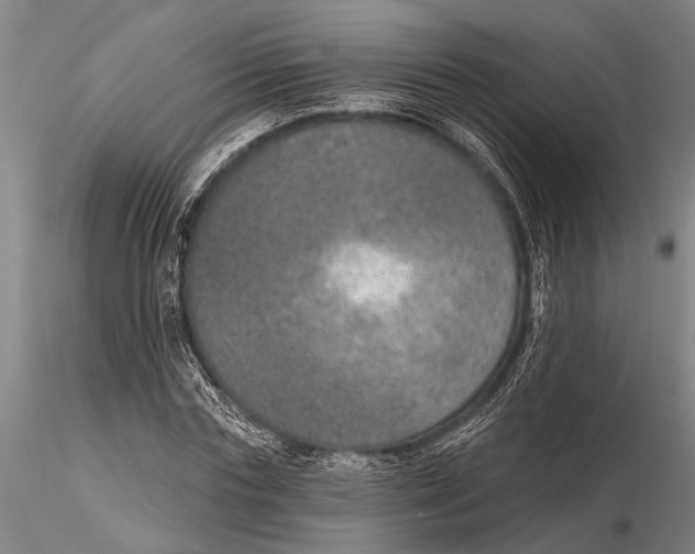 X0000116150827200912141155