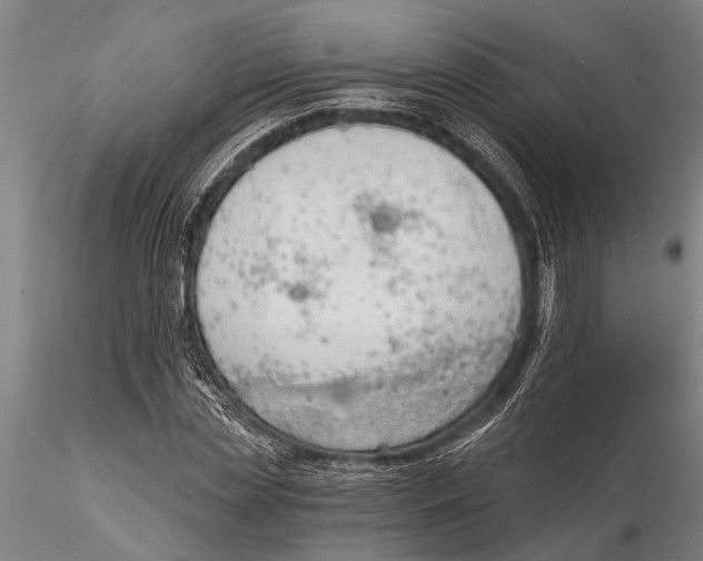 X0000116150829200912141155