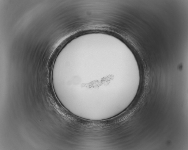 X0000116150830200912141155