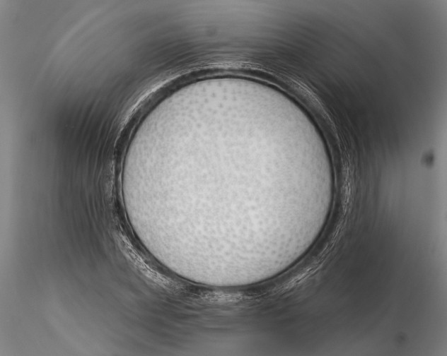 X0000116150831200912141155