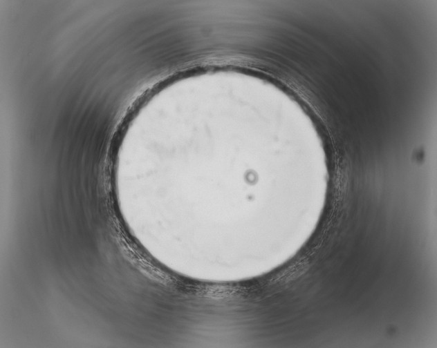 X0000116150832200912141155