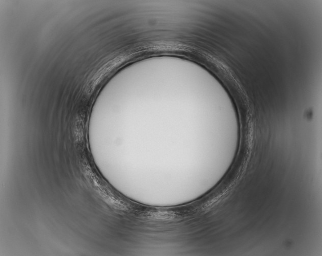 X0000116150833200912141155