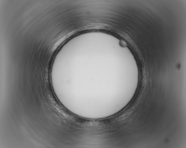 X0000116150834200912141155