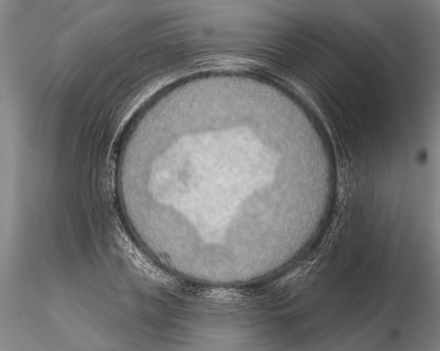 X0000116150835200912141155