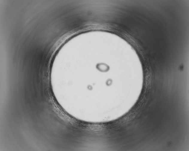 X0000116150836200912141155