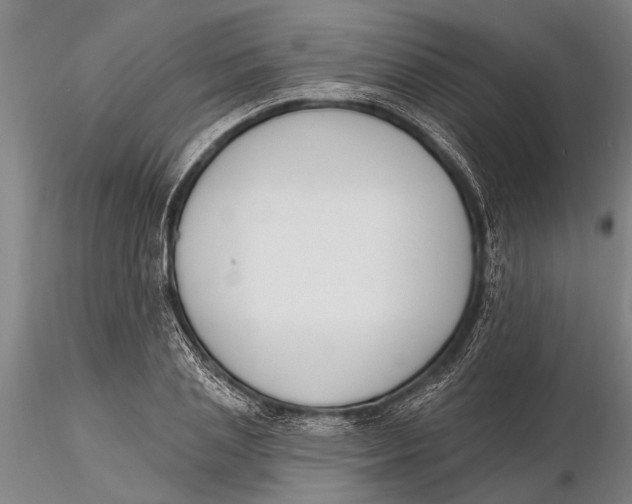 X0000116150837200912141155