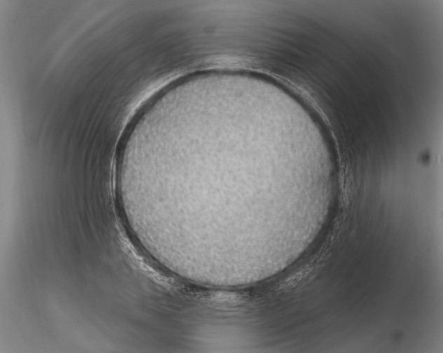 X0000116150839200912141155