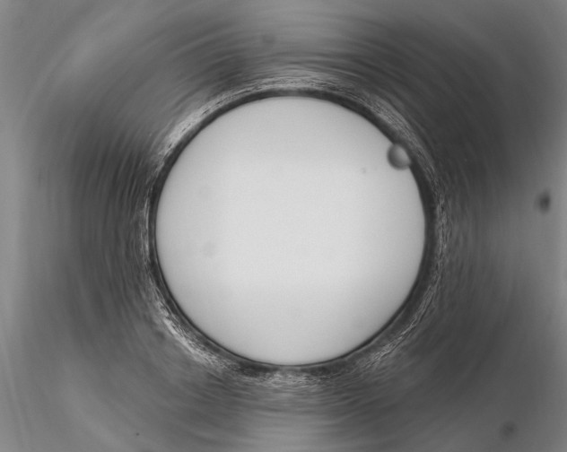 X0000116150842200912141155