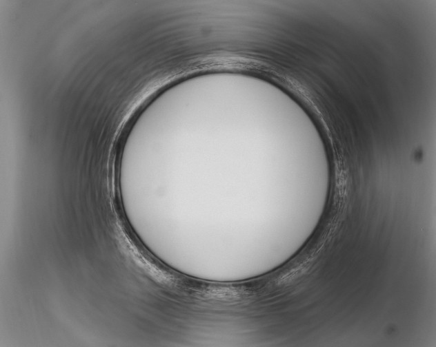 X0000116150843200912141155