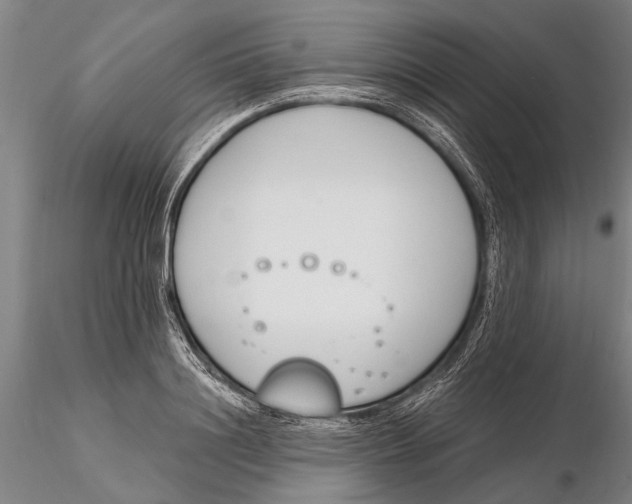 X0000116150844200912141155