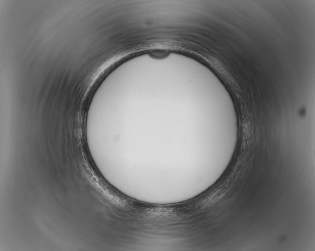 X0000116150846200912141155