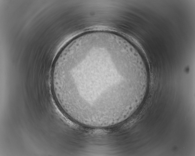 X0000116150847200912141155