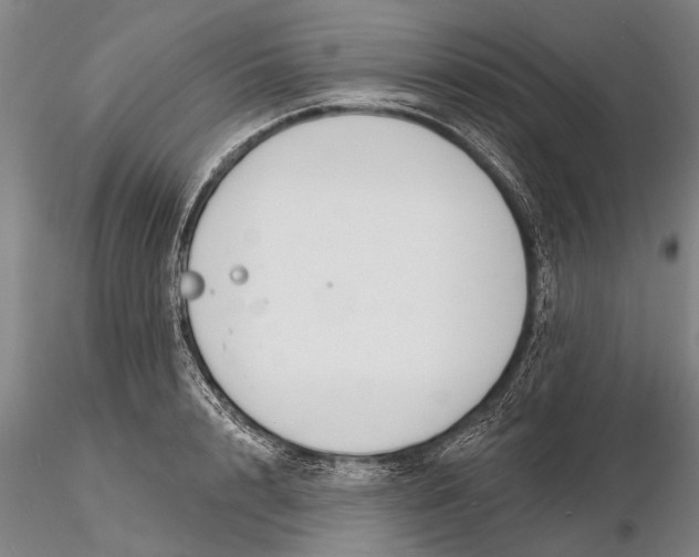 X0000116150848200912141155