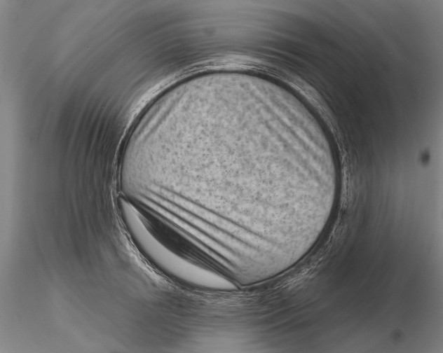 X0000116150850200912141155