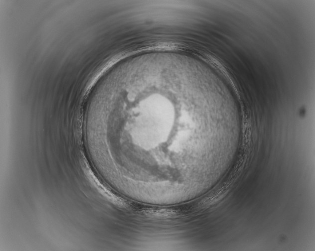 X0000116150851200912141155