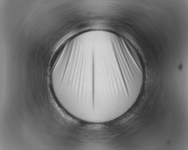 X0000116150853200912141156