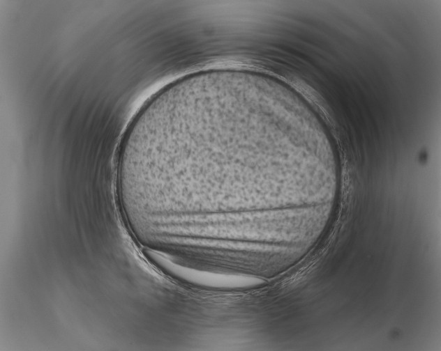 X0000116150854200912141156