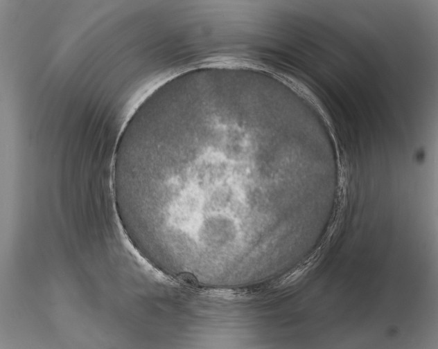 X0000116150855200912141156