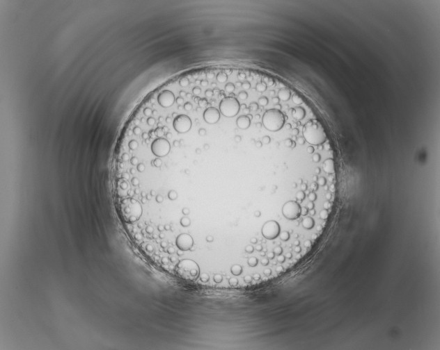 X0000116150856200912141156