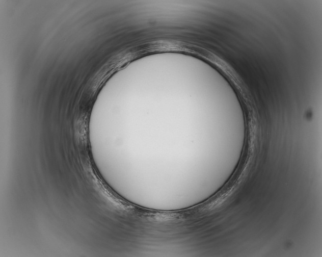 X0000116150857200912141156