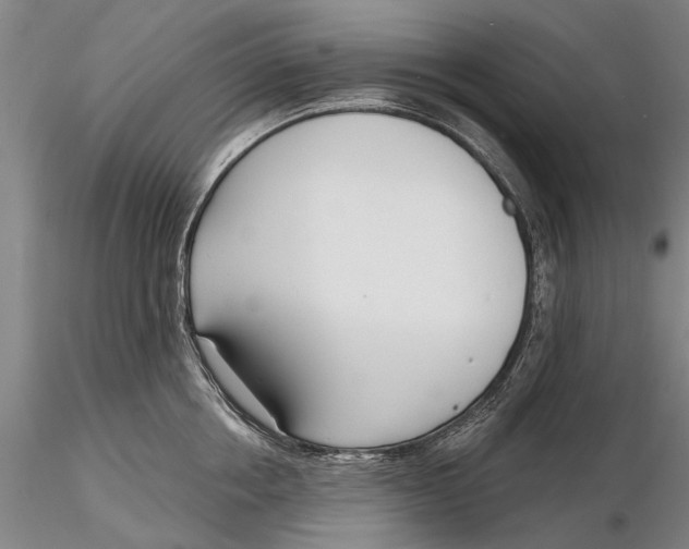 X0000116150858200912141156