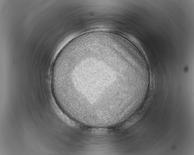 X0000116150859200912141156