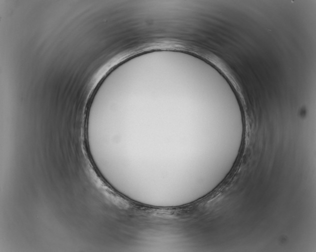 X0000116150861200912141156