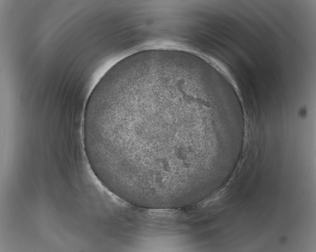 X0000116150863200912141156