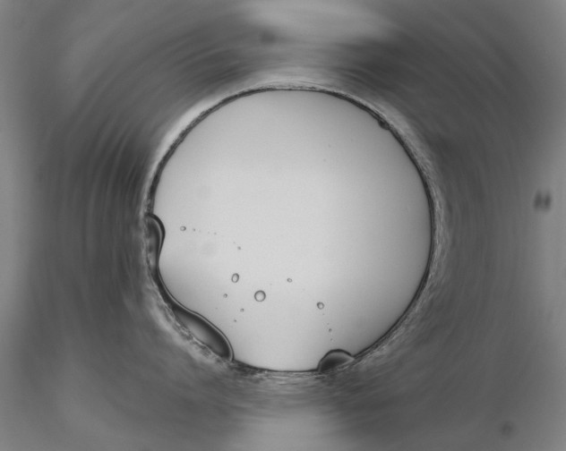 X0000116150864200912141156