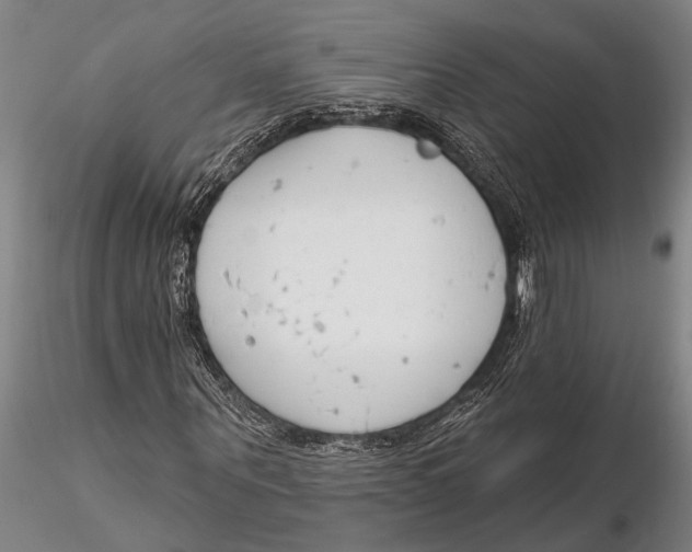 X0000116150867200912141155