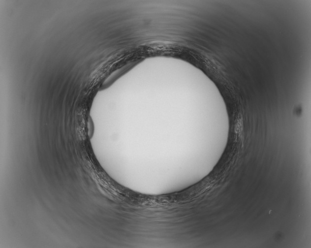 X0000116150868200912141155