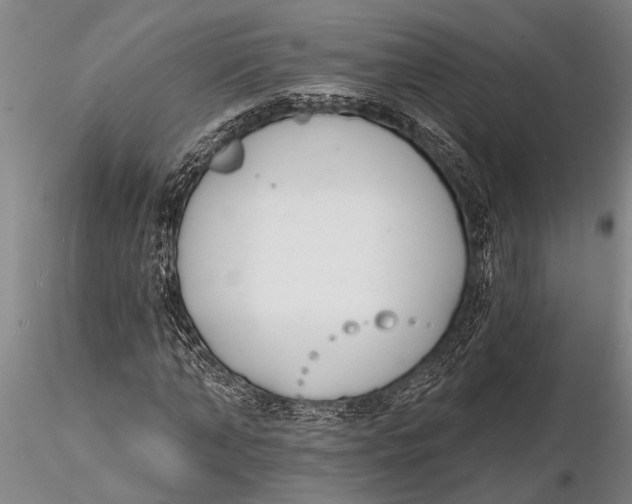 X0000116150870200912141155