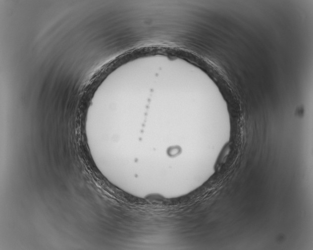 X0000116150872200912141155