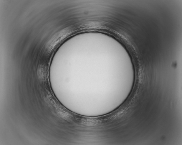 X0000116150873200912141155