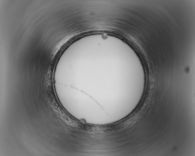 X0000116150875200912141155