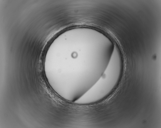 X0000116150876200912141155