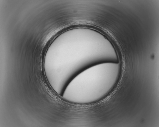 X0000116150877200912141155