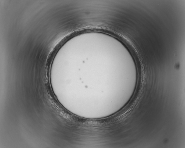 X0000116150878200912141155