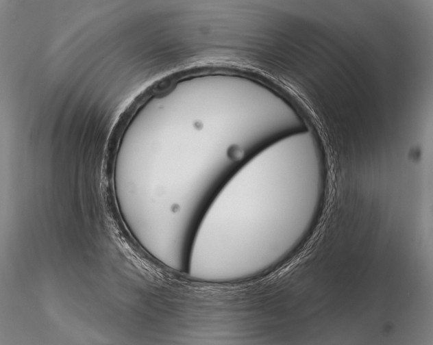 X0000116150880200912141155