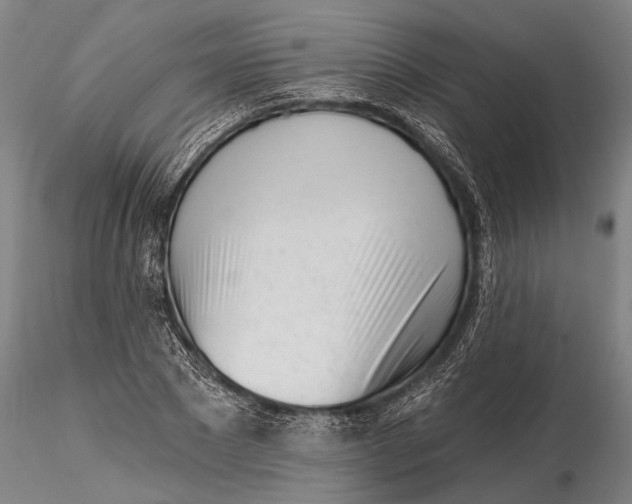 X0000116150881200912141155