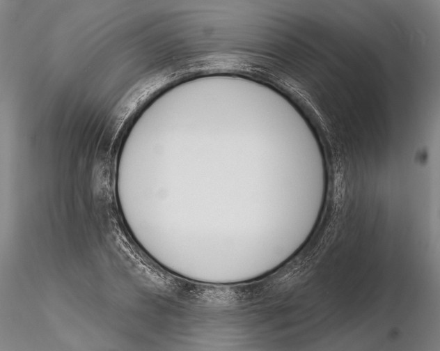 X0000116150882200912141155